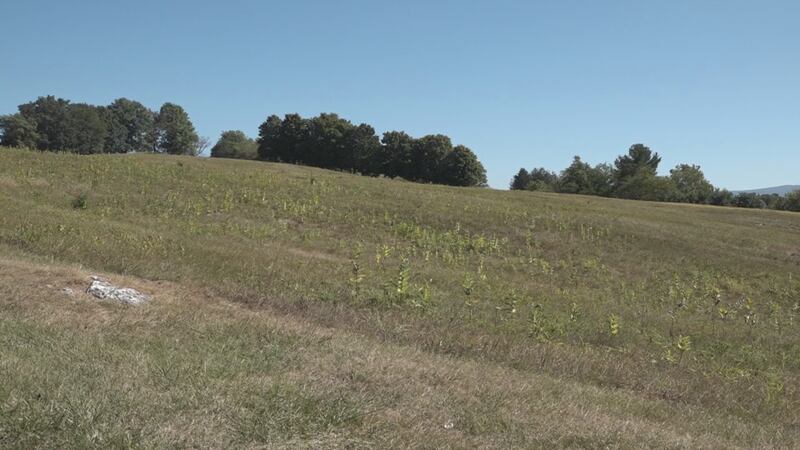 Grayson county commissioners said there’s little that can be done to restrict the use of...