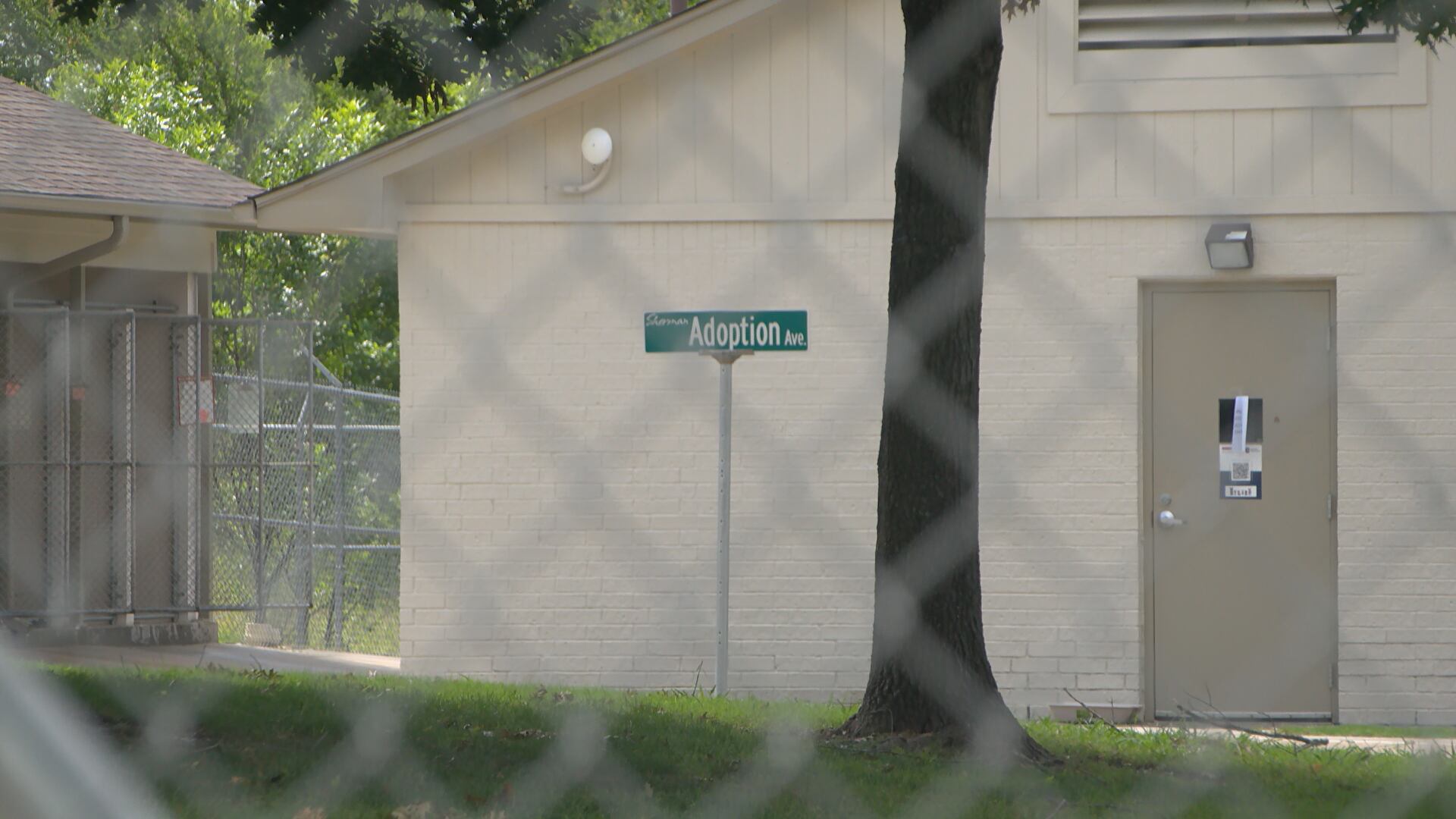 Several dogs positive for distemper at Sherman Animal Shelter - Vimarsana News